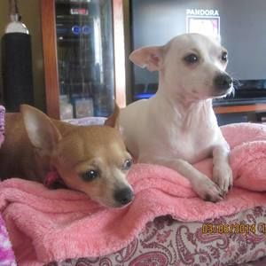 Meet your Posher, Mina